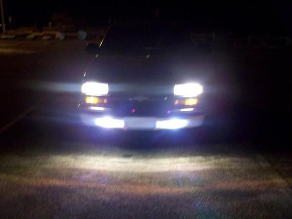 deer in the headlights