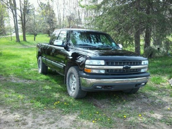 turtle waxed