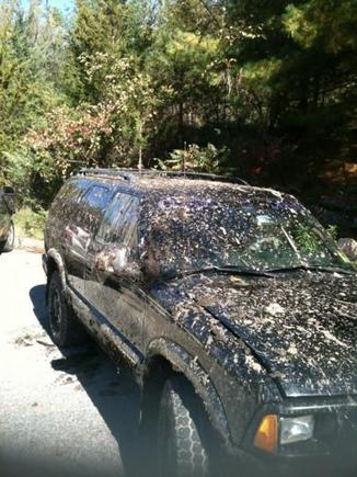 A better picture of a muddy Clyde...after pulling our friend out.