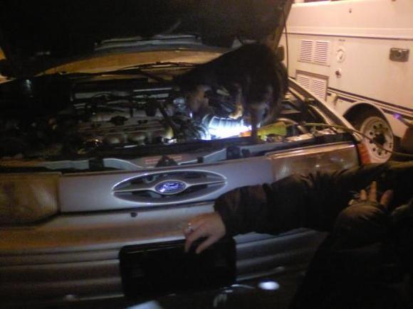 Snoop Dogg inspecting for problems.