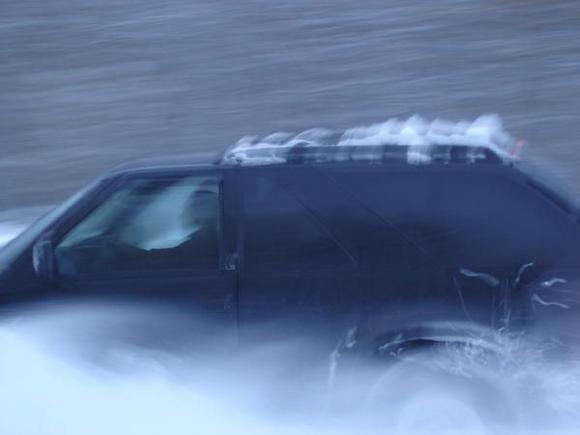 fun in the back yard