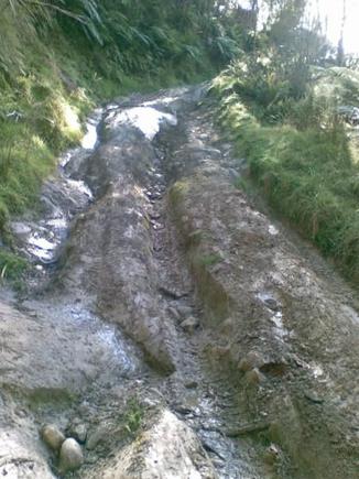 A typical back country track over here in NZ. It doesn't look much but I had trouble walking up here it was real steep lots of fun driving up and down