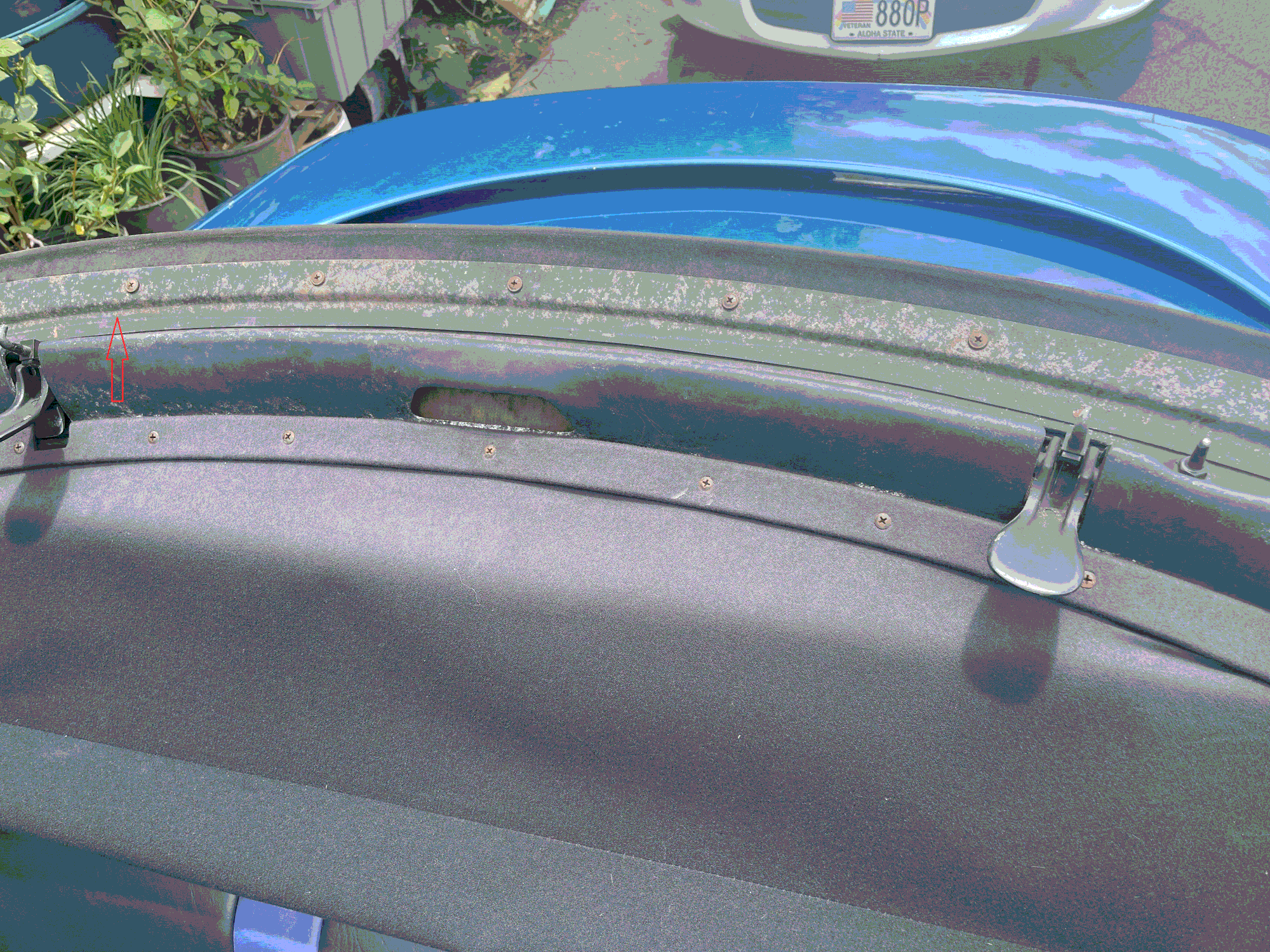 looking for this plate?