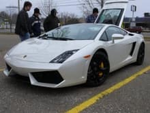 Lamborghini Gallard LP560-4