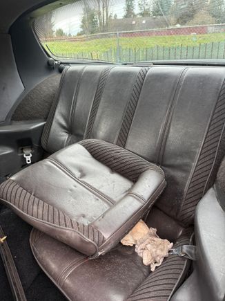 Can’t find any that are leather and cloth, are these for 84 z28? Rare?