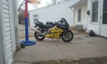 Badazz Bumblebee Bizznichez