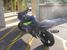 IMG 7557