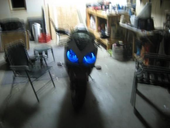 IMG 0355