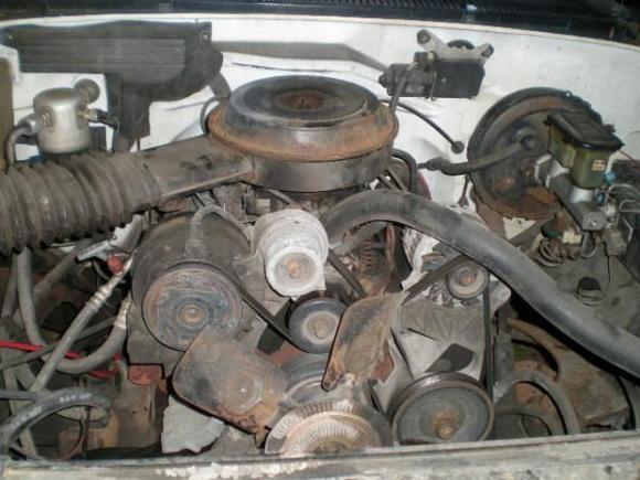 Motor Bay, clean.