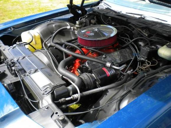 Engine BBC V8 454 ci 7,4L
