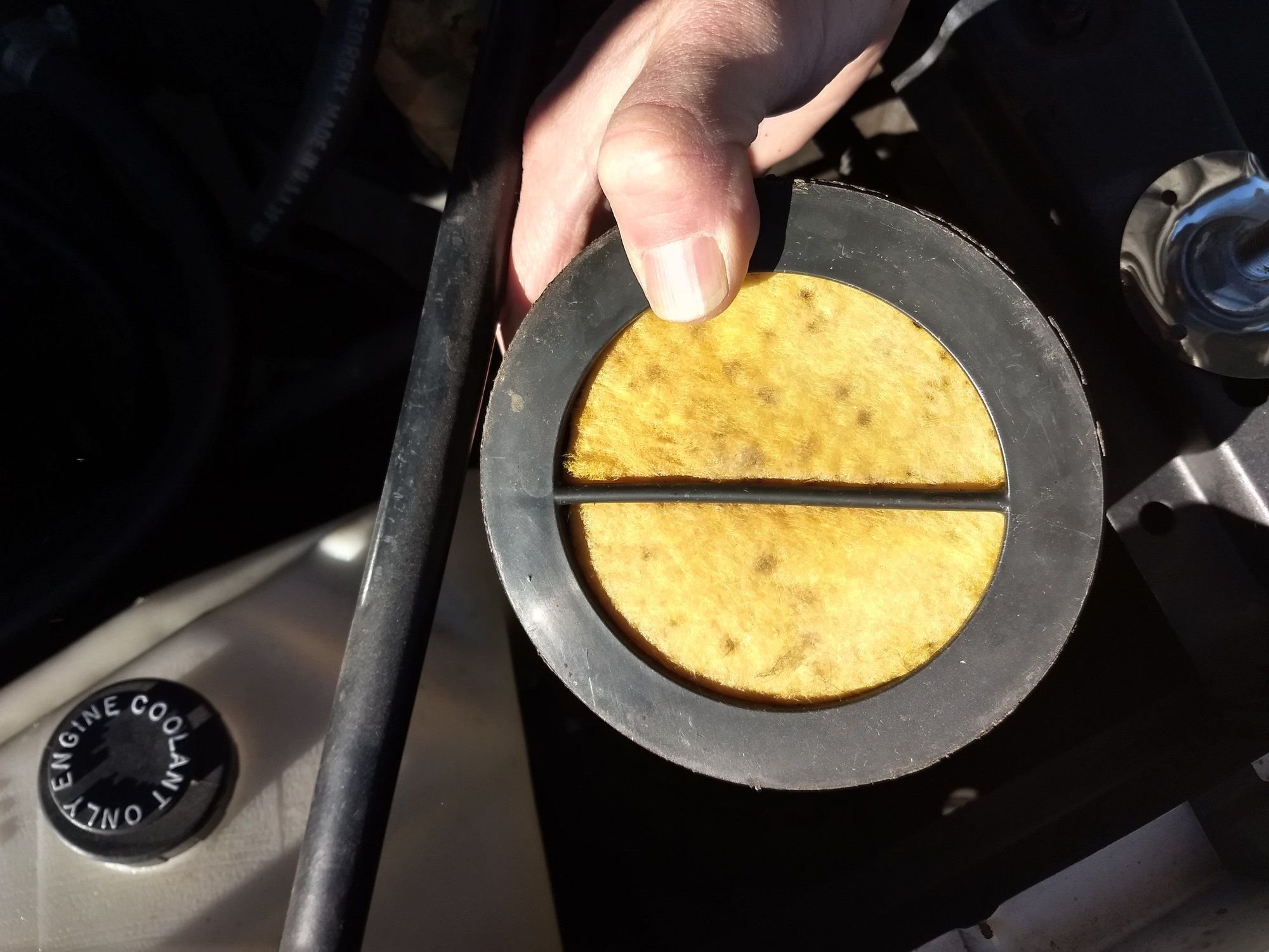 Evap canister filter replacement question 樂