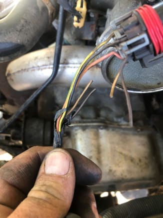 Broken transmission case connector wires 