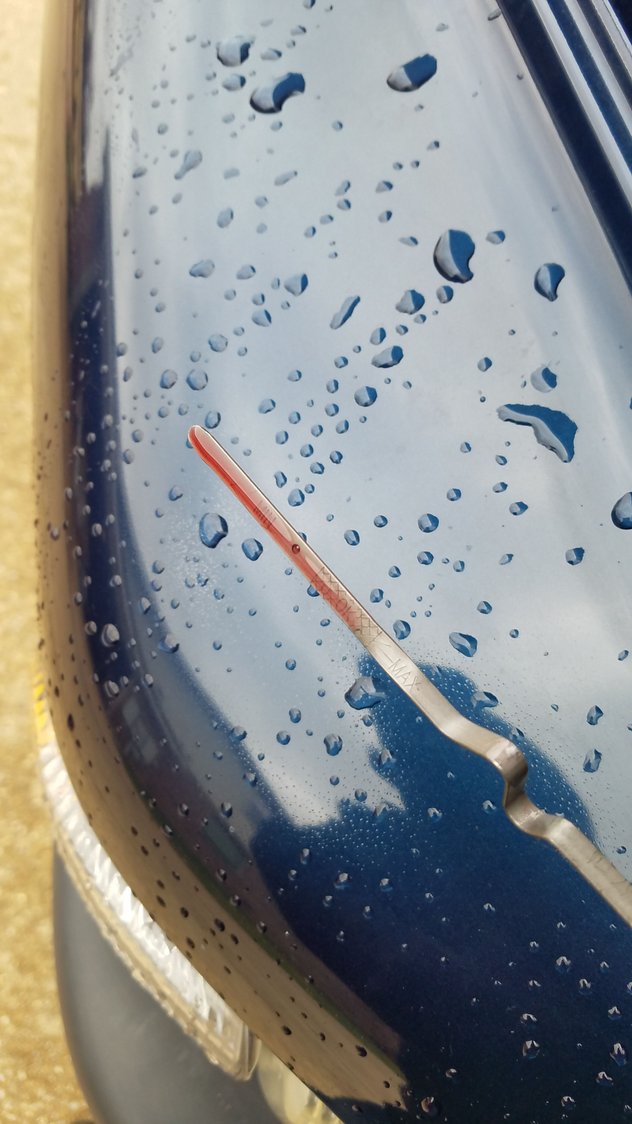 Cold Engine Transmission Dipstick Reading