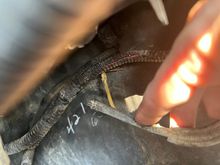 Throttle cable