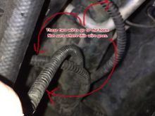 This is the group of wires Im talking about.