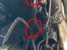 Trans fluid dripping from these spots
