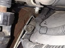 Here you can see where it looks like something was ripped off.  You can see the striations or ridges inside the end of the hose where something was making contact.