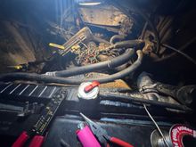 Rainbow spaghetti!!! Yayyy