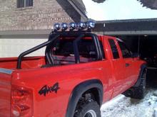 roll bar with truck bed coating