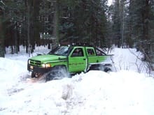 In the snowy mountains of Northern New Mexico.

To see more of these pictures order the T-Rex 2009 Caledar at:
http://www.lulu.com/content/3228663