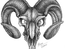 Goat Skull by Wikidtron