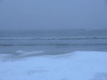 P1010439