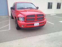 Rosso's pics