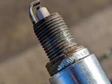 Good Plug, only pulled one