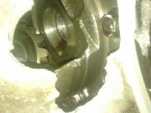 Death of the original trans.