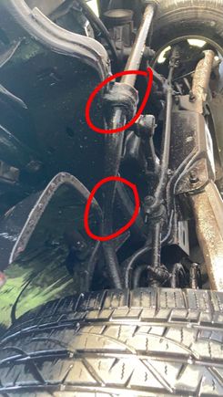 Trans fluid dripping from these spots