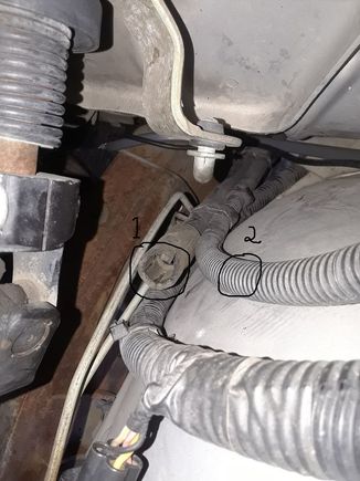 Here you can see where it looks like something was ripped off.  You can see the striations or ridges inside the end of the hose where something was making contact.