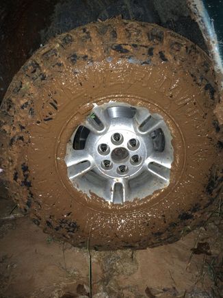 After a night in the mud
