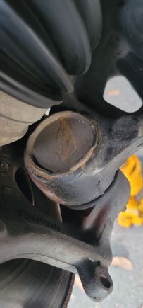 Pic 2 in case 1 sucks 