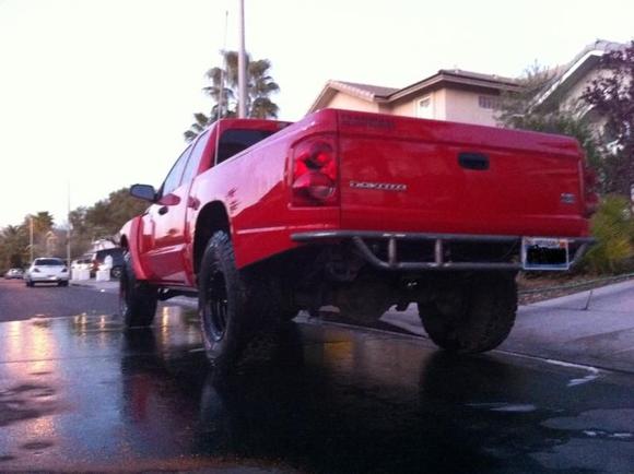 Freshly Washed