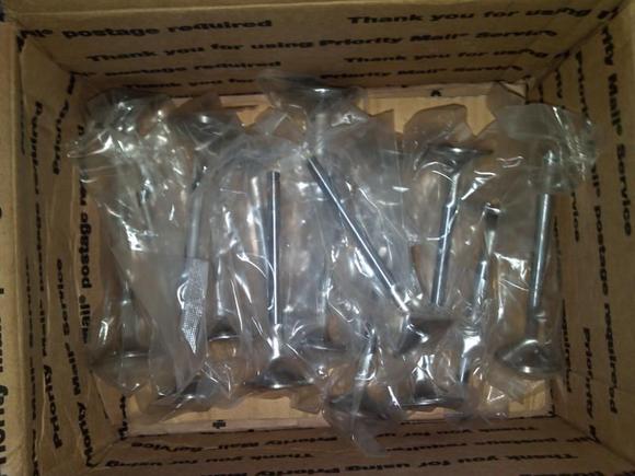 Stainless one piece valves