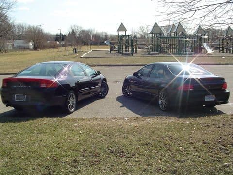 Intrepid &amp; Breeze at the Park