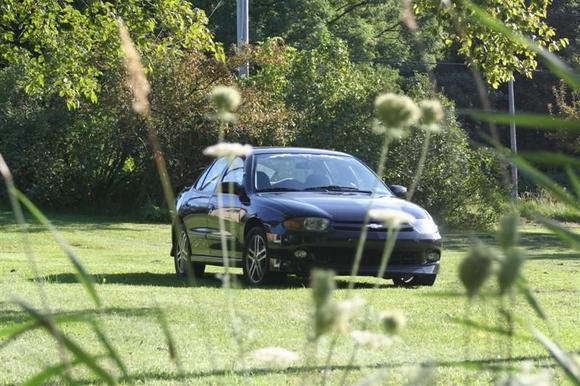 Monarch (wife's daily driver) (4th car)
'04 Chevrolet Cavalier LS-Sport Edition (5 speed)
Cav 16&quot; brushed metal rims.
Rear center seat with 5pt harness.
Monarch tribal across front window.