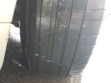 1 season old