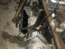 Where I found the tranny