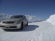 Taken out for some fun in the snow