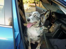 Rio thinks the car matches his blue eyes.