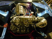DSCN0192