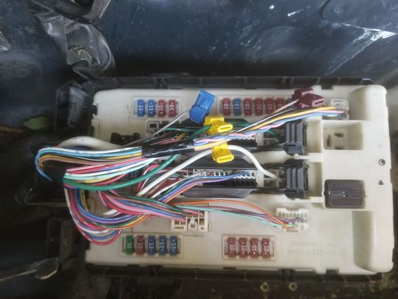 This is what the IDPM Module looks like open. The culprit is the little black relay to the right of the photo on the module. This is what you will hear clicking, it is the relay attempting to open & close