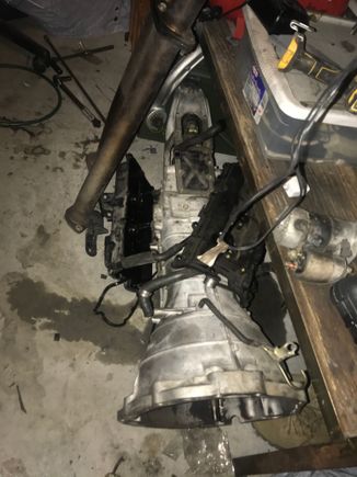Where I found the tranny
