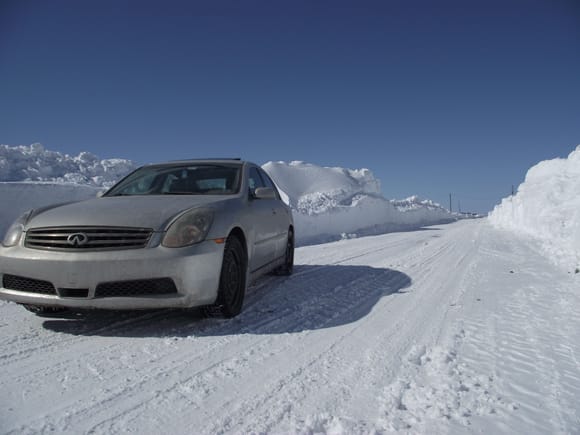 Taken out for some fun in the snow