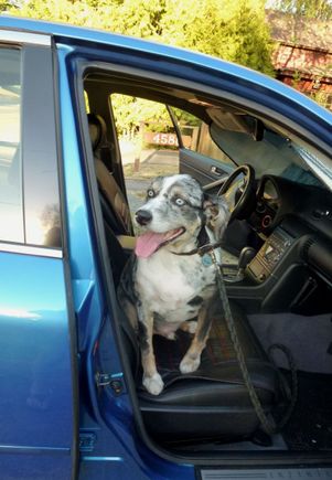 Rio thinks the car matches his blue eyes.