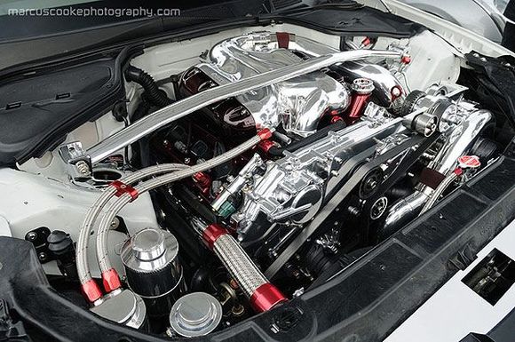 Engine Bay (Photo by Marcus / CandlestickPark)