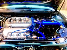 New engine. But didn’t look as new as my old engine. My old engine was much better condition and not as used. I even replaced my oil cap for my old engine because this one was looking bad