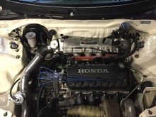 Updated engine bay pic. New downstar hardware went with black beauty washers and gold zinc bolts. Also finally took care of my windshield cowl. Was missing bolts and clips on it before. Now it’s all secured. Still have more parts on the way for this thing. Really liking how it’s all coming together. 