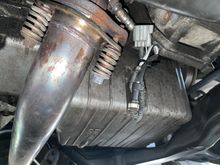 female downstream o2 sensor by the cat